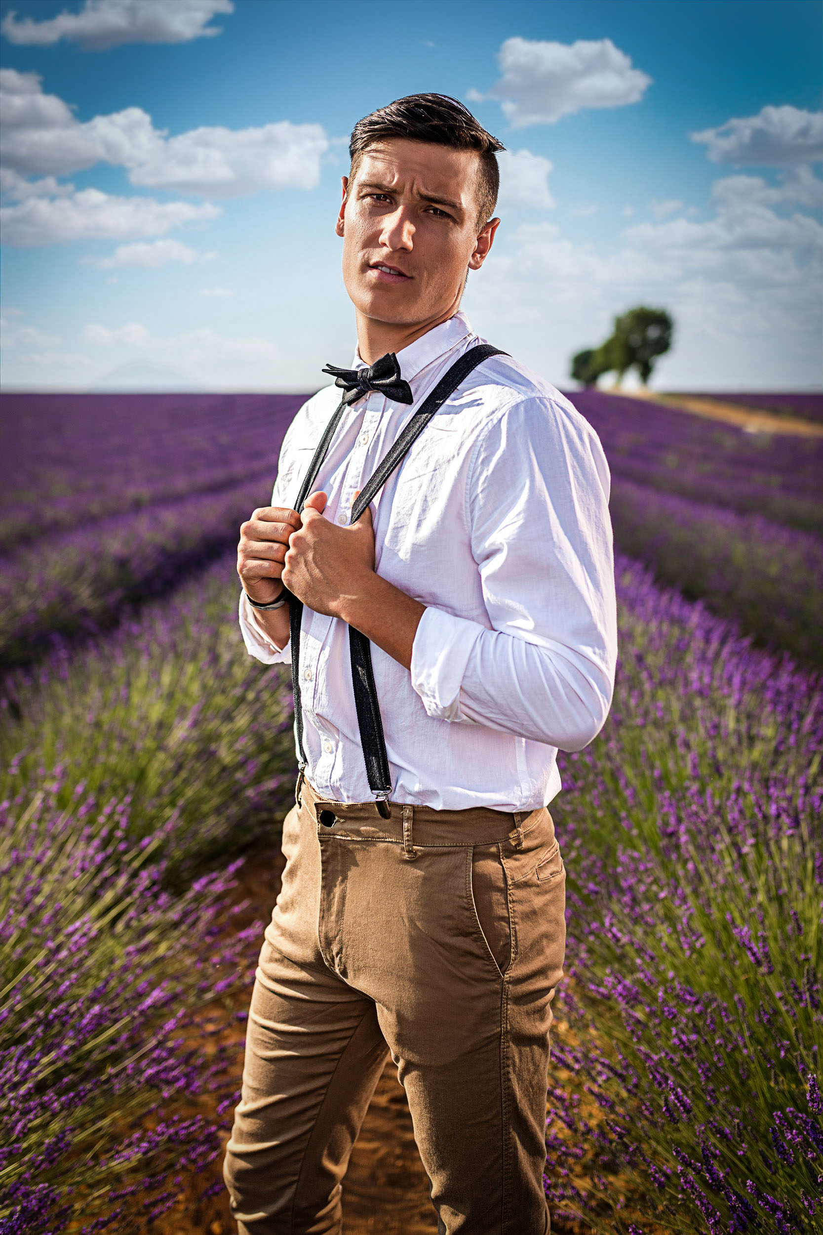 Metaframe Studio Provence Whispers - METAFRAME Studios